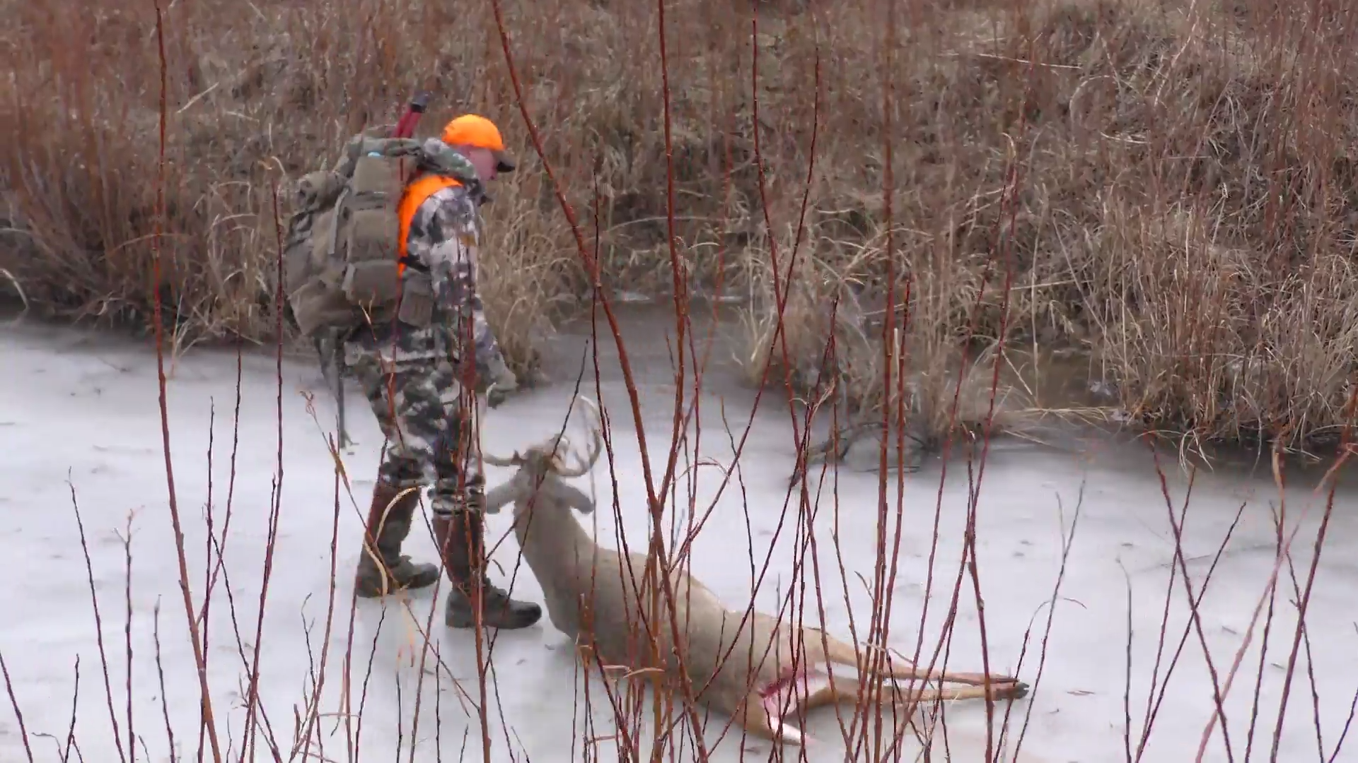 Deer Hunting Myths episode thumbnail