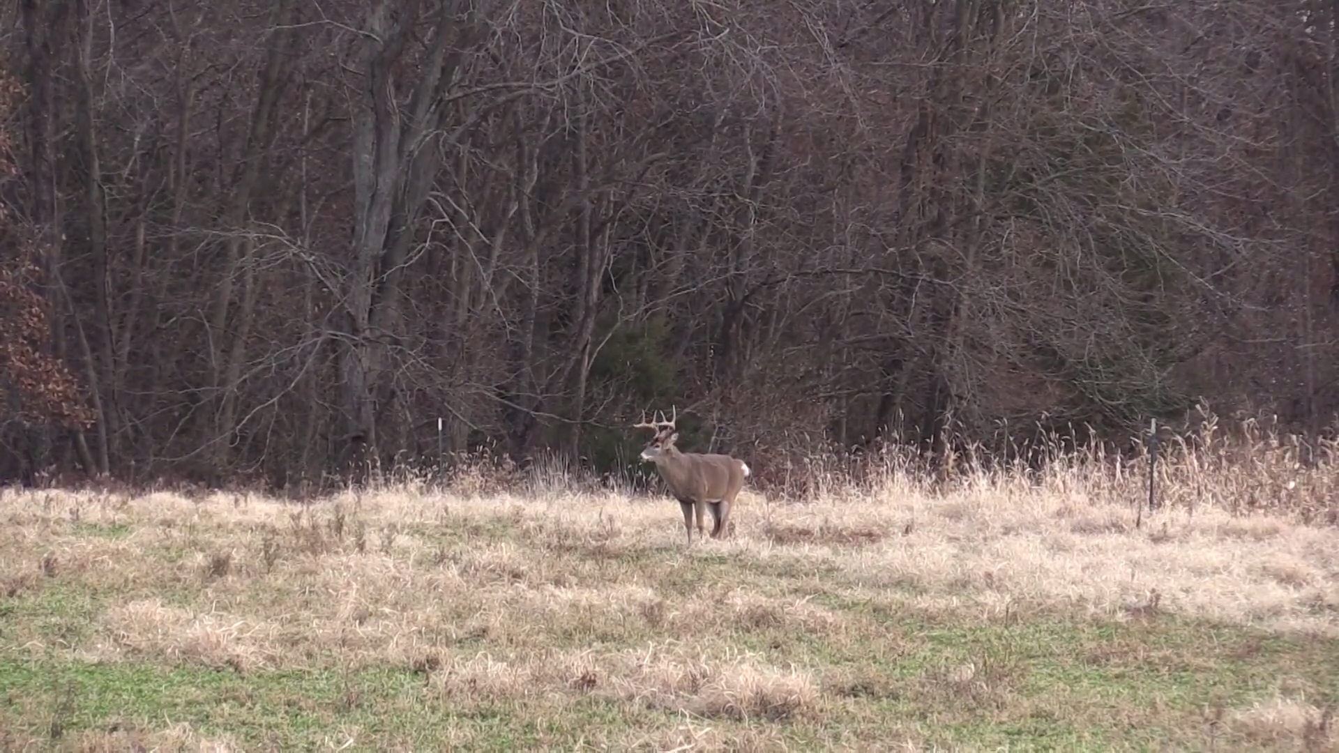 Nutritional Needs episode thumbnail