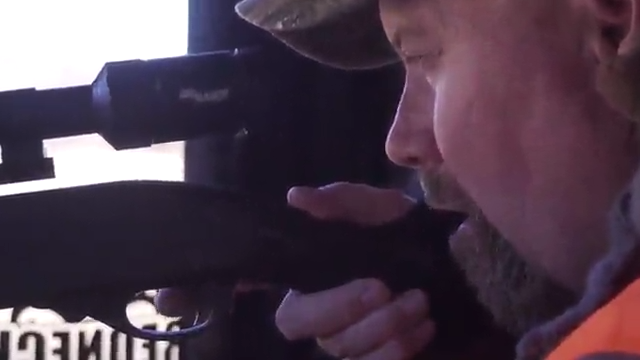 Whitetail Dispersal episode thumbnail