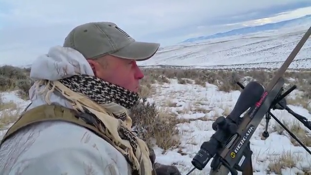 Whitetail Predation episode thumbnail