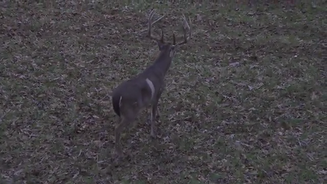 Auburn, Leading the Way episode thumbnail