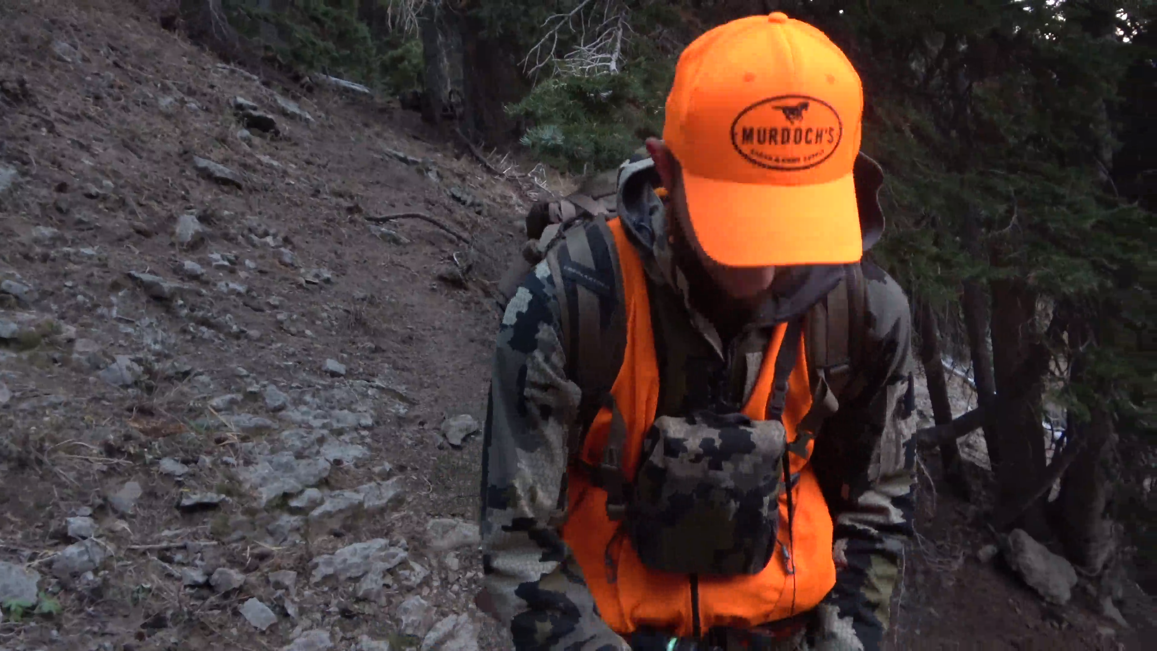 320" Colorado Backcountry Bull Elk episode thumbnail