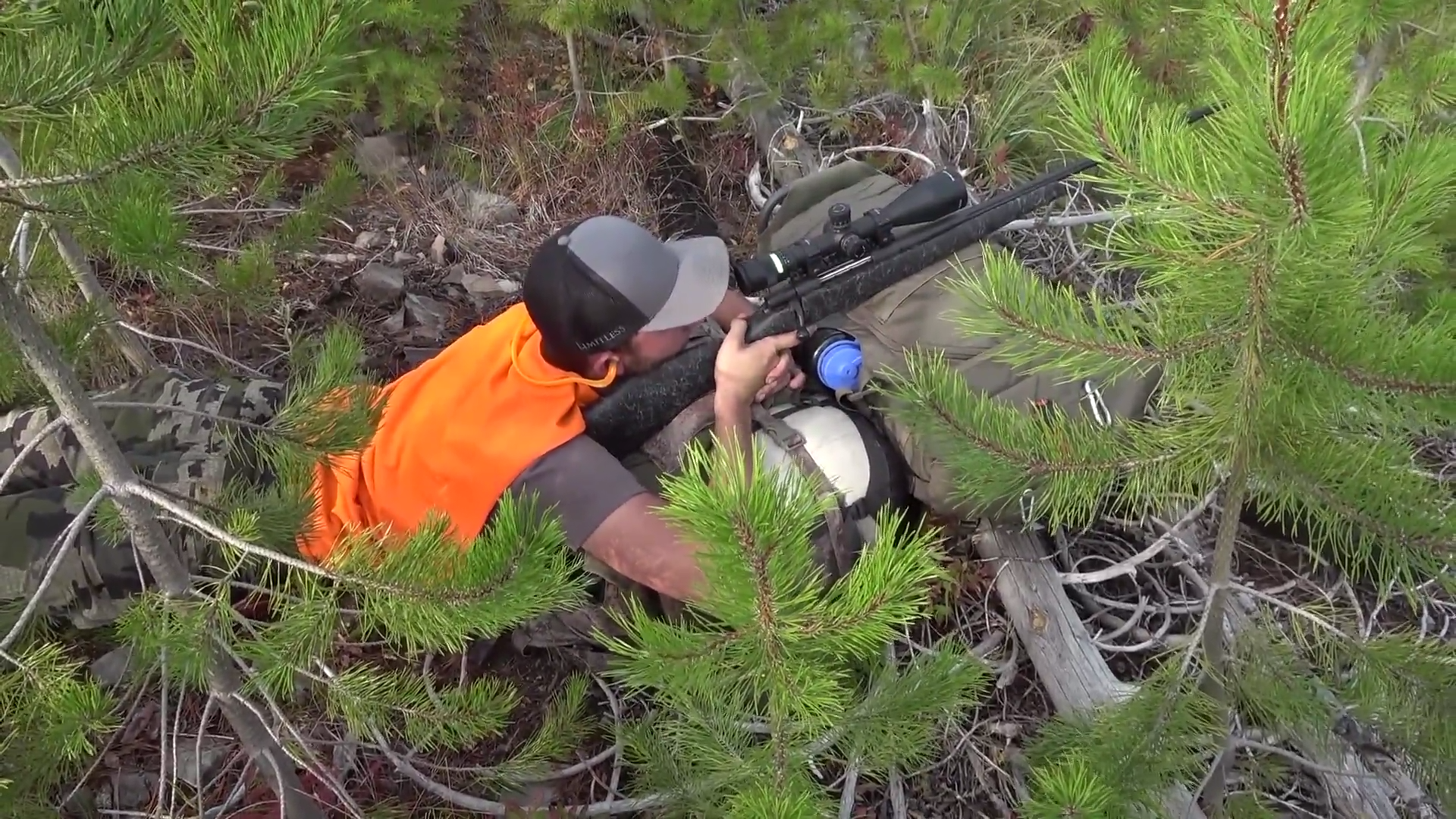 Grizzlies and a Black Bear episode thumbnail