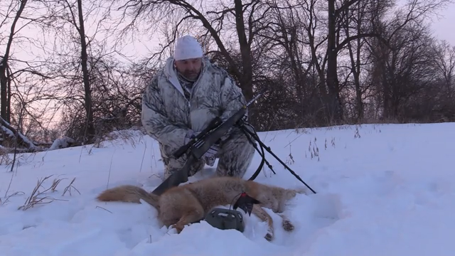 Predator Pursuit episode thumbnail