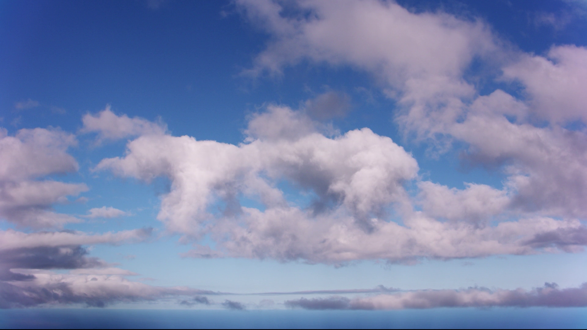 Bear Hunts in Belle Terre episode thumbnail