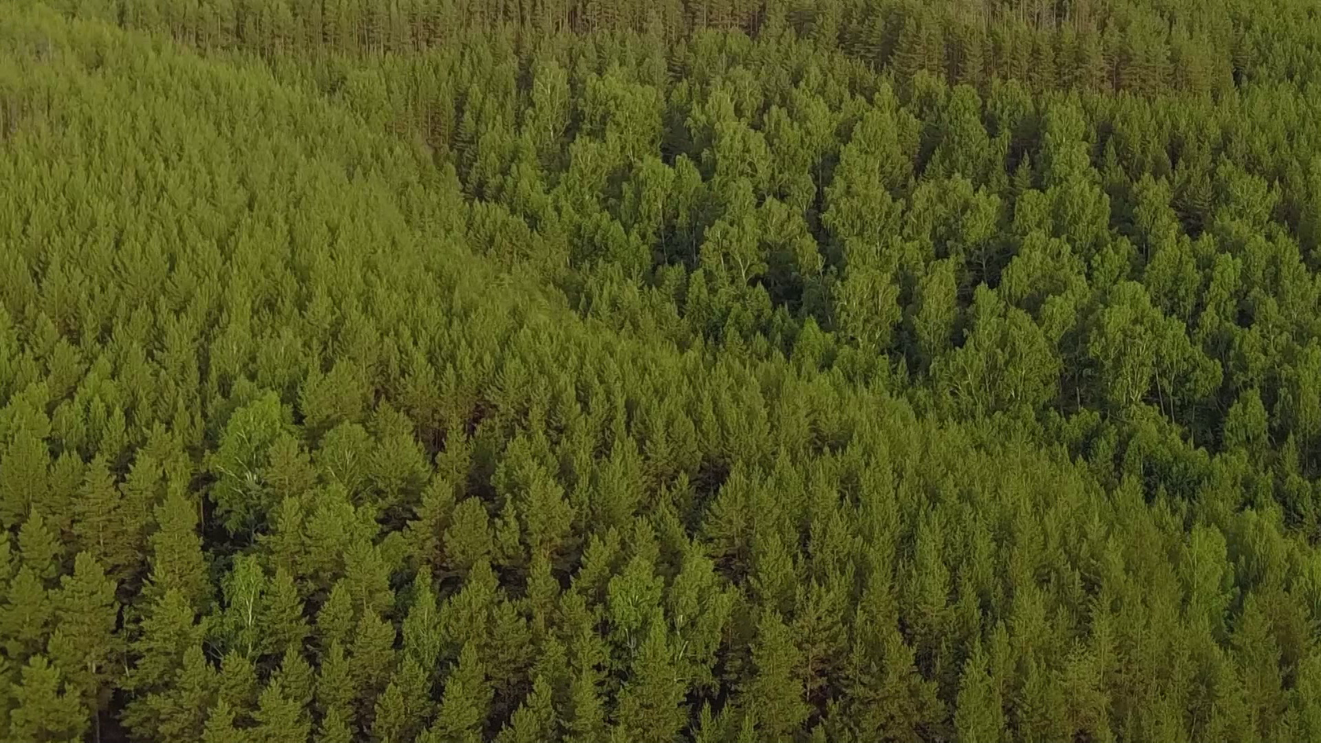 Fishing at Fer  Cheval Outfitter episode thumbnail