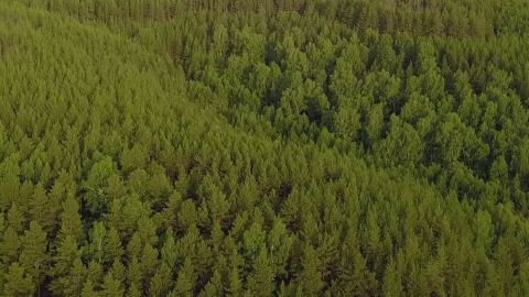 Fishing at Fer  Cheval Outfitter episode thumbnail