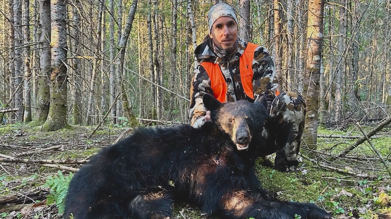 Bear Hunts at Club Gatineau Outfitter episode thumbnail