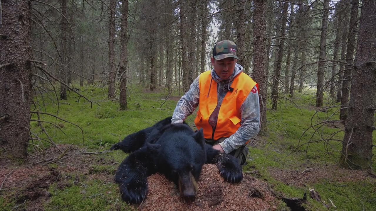 Bear Hunt with the Montagnards Albanel episode thumbnail