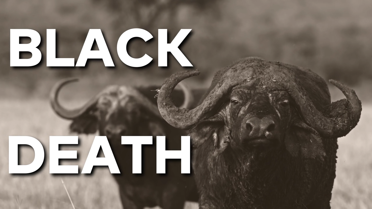 Black Death episode thumbnail