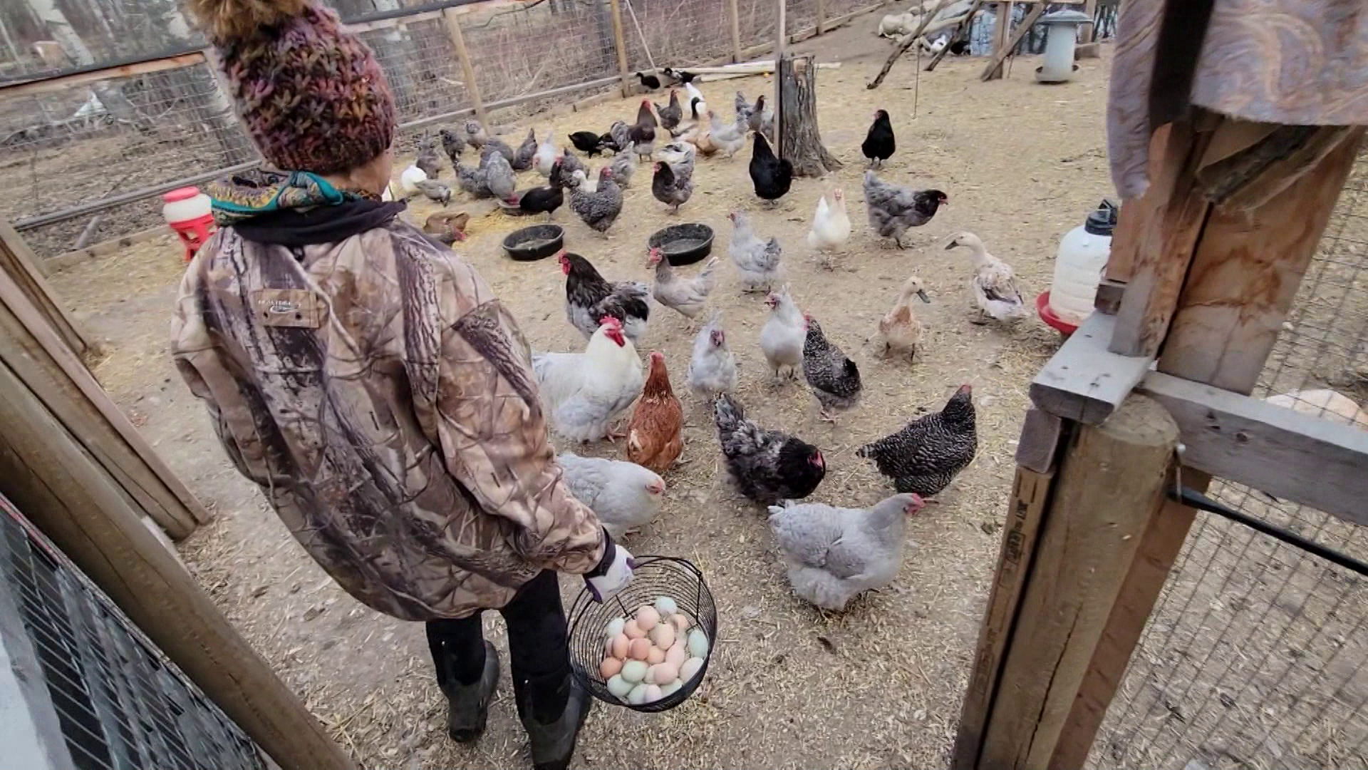 Spring Work Continues episode thumbnail