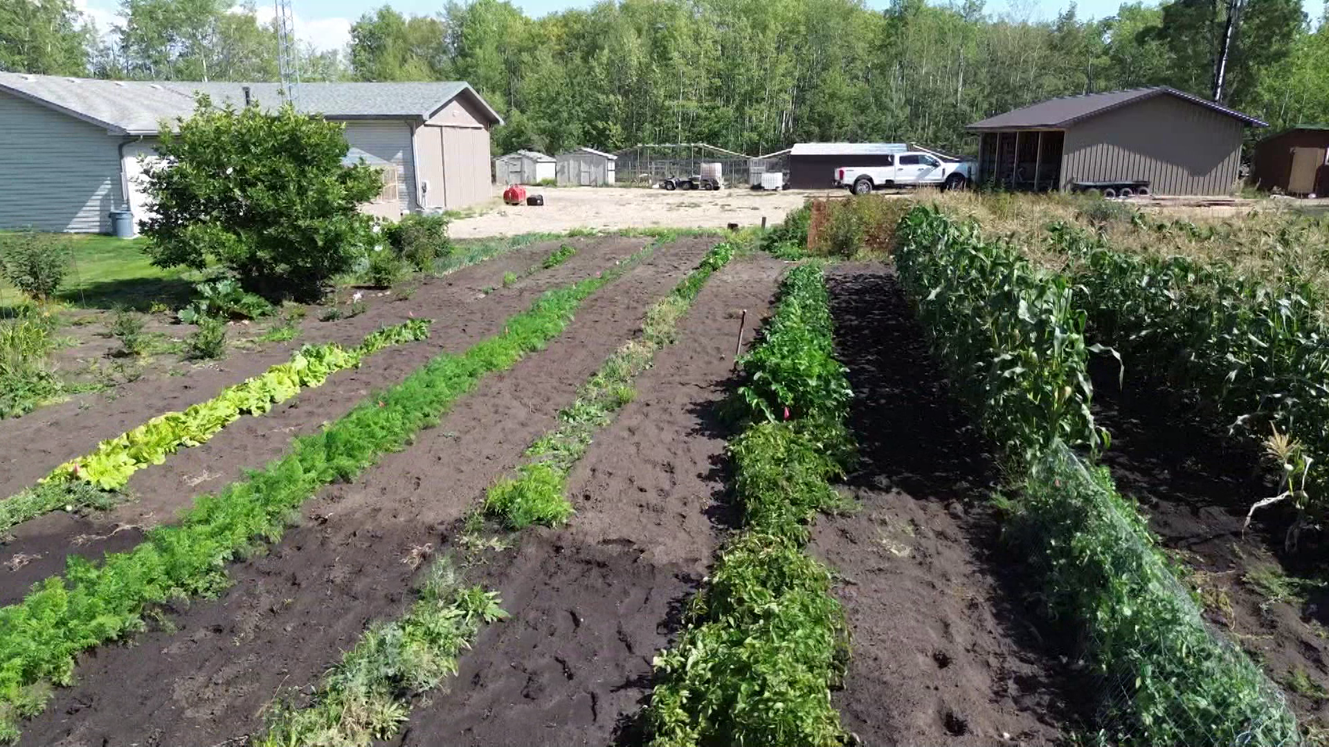 Honey episode thumbnail