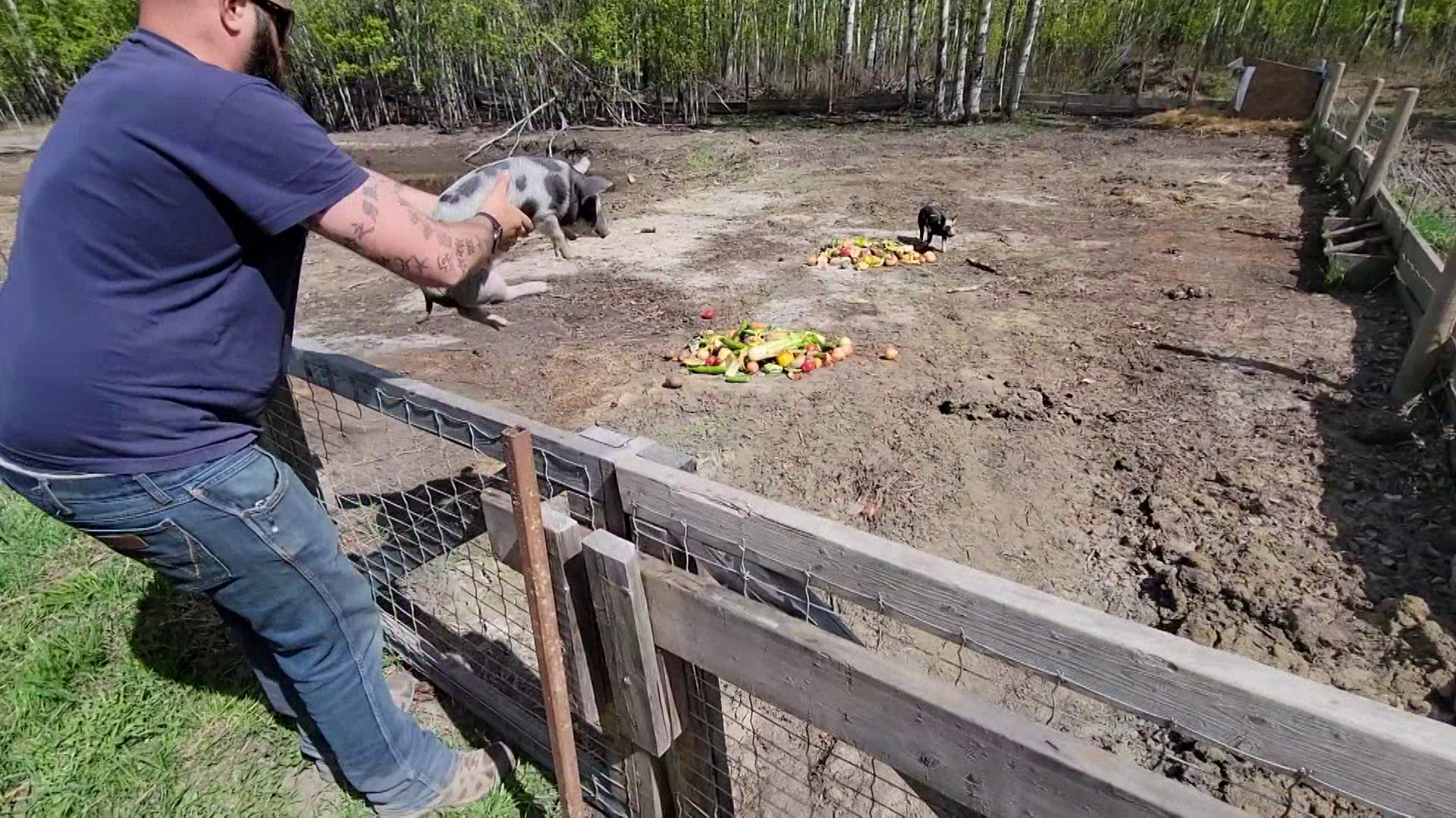 Honey! episode thumbnail