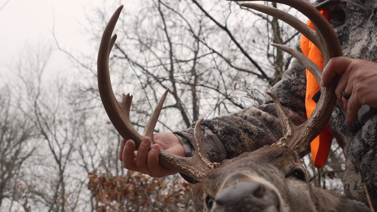 Straightwall Revolution episode thumbnail