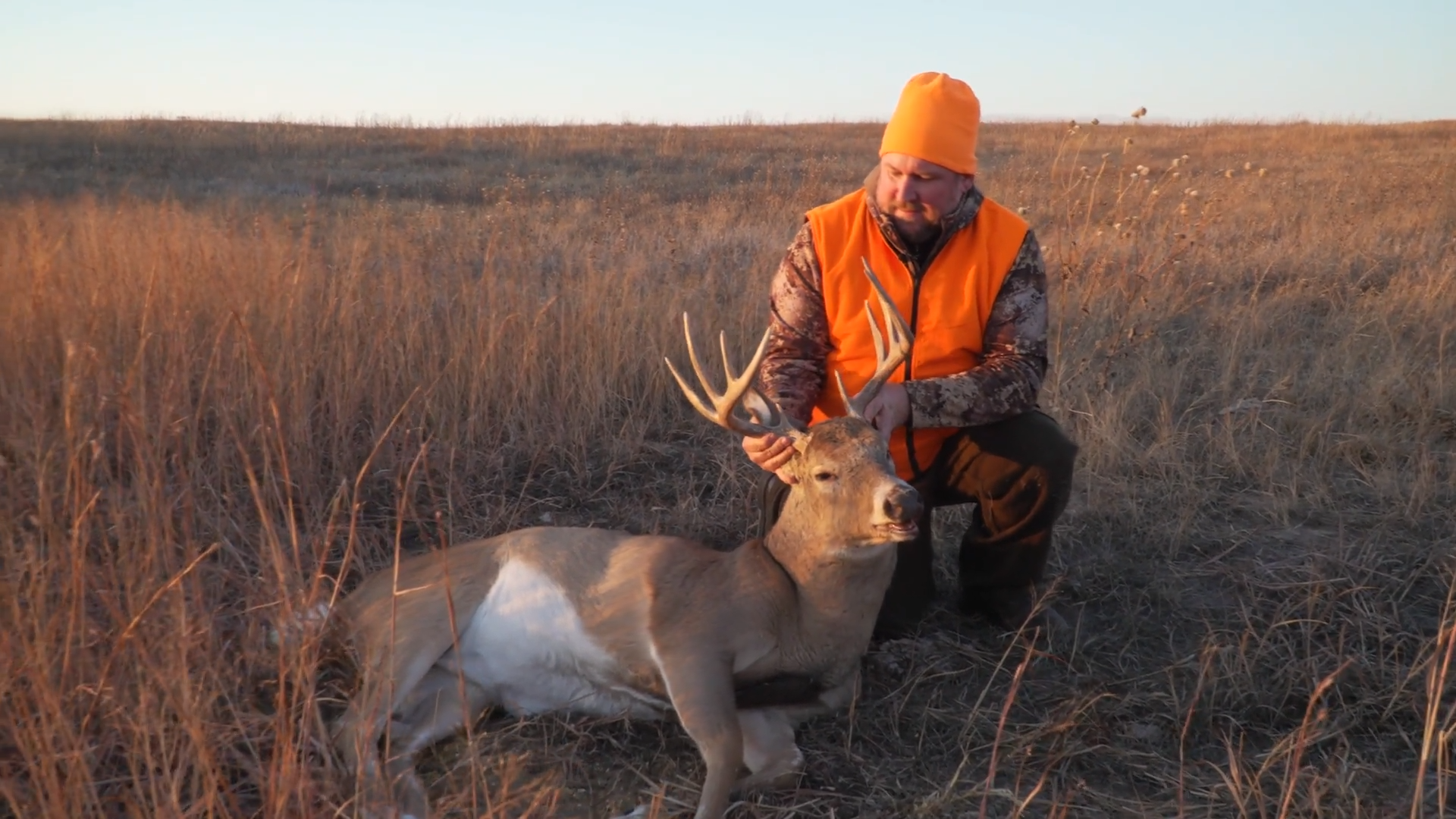 Tried and True episode thumbnail