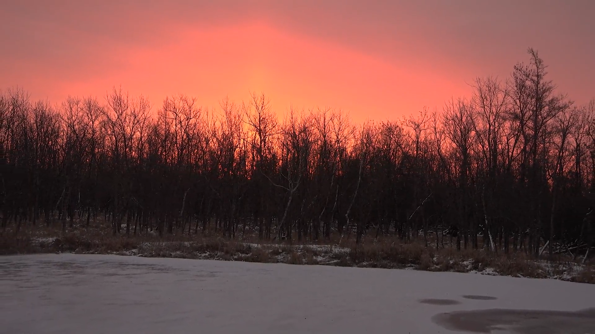 Father, Daughter episode thumbnail