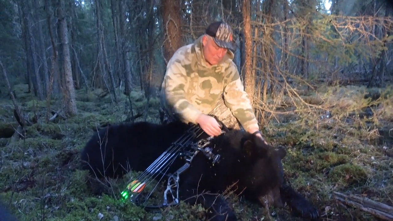 Elk, Axis & Bears, OH MY! episode thumbnail