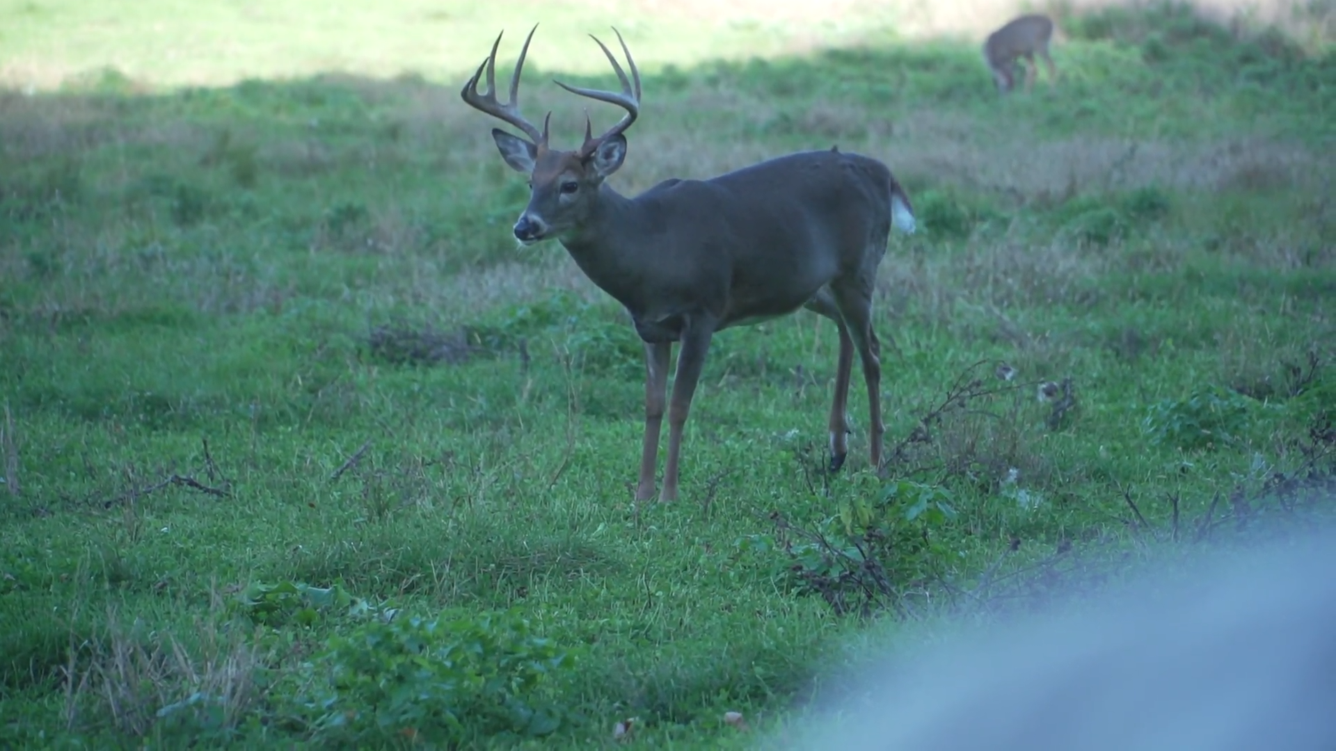 Off Season episode thumbnail