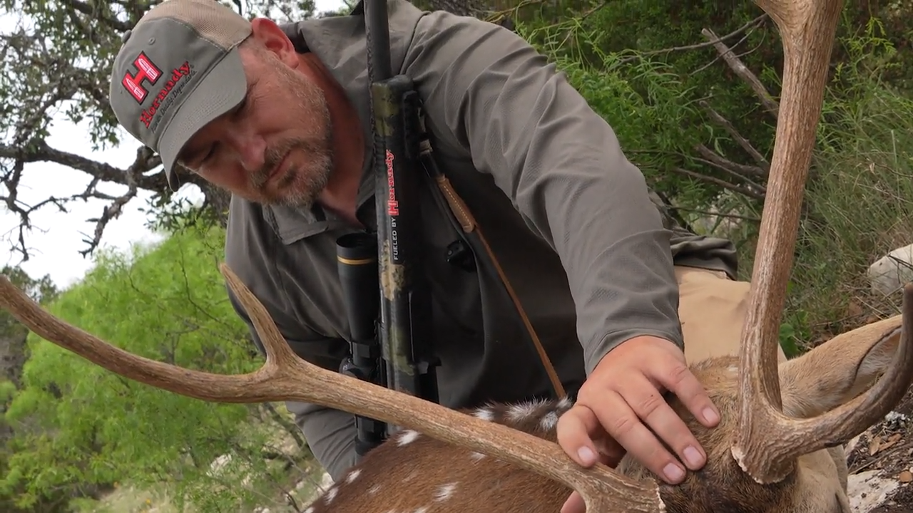 Texas Heat episode thumbnail