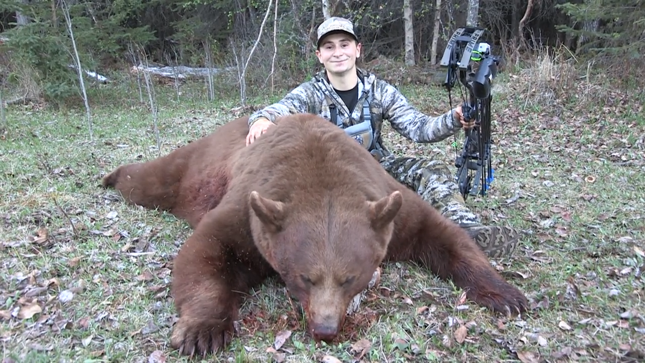 King of The Forest episode thumbnail