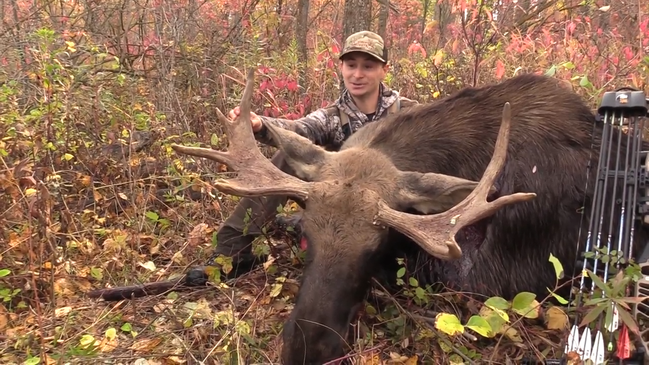 Colossal Creatures Rut episode thumbnail