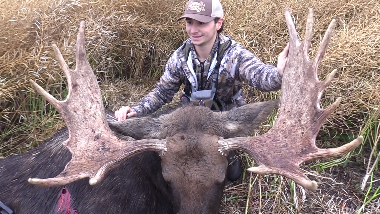 Paddles & Bull Grunts episode thumbnail