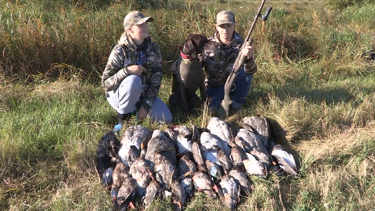 Feathers & BBs episode thumbnail