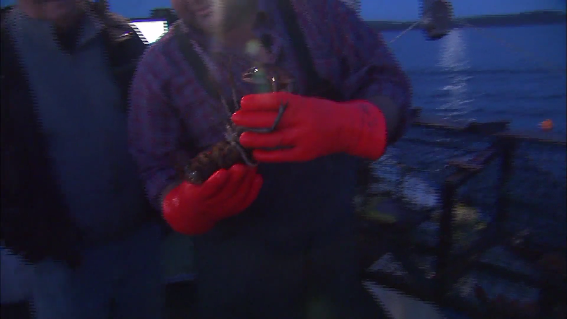 Rewind 1 episode thumbnail