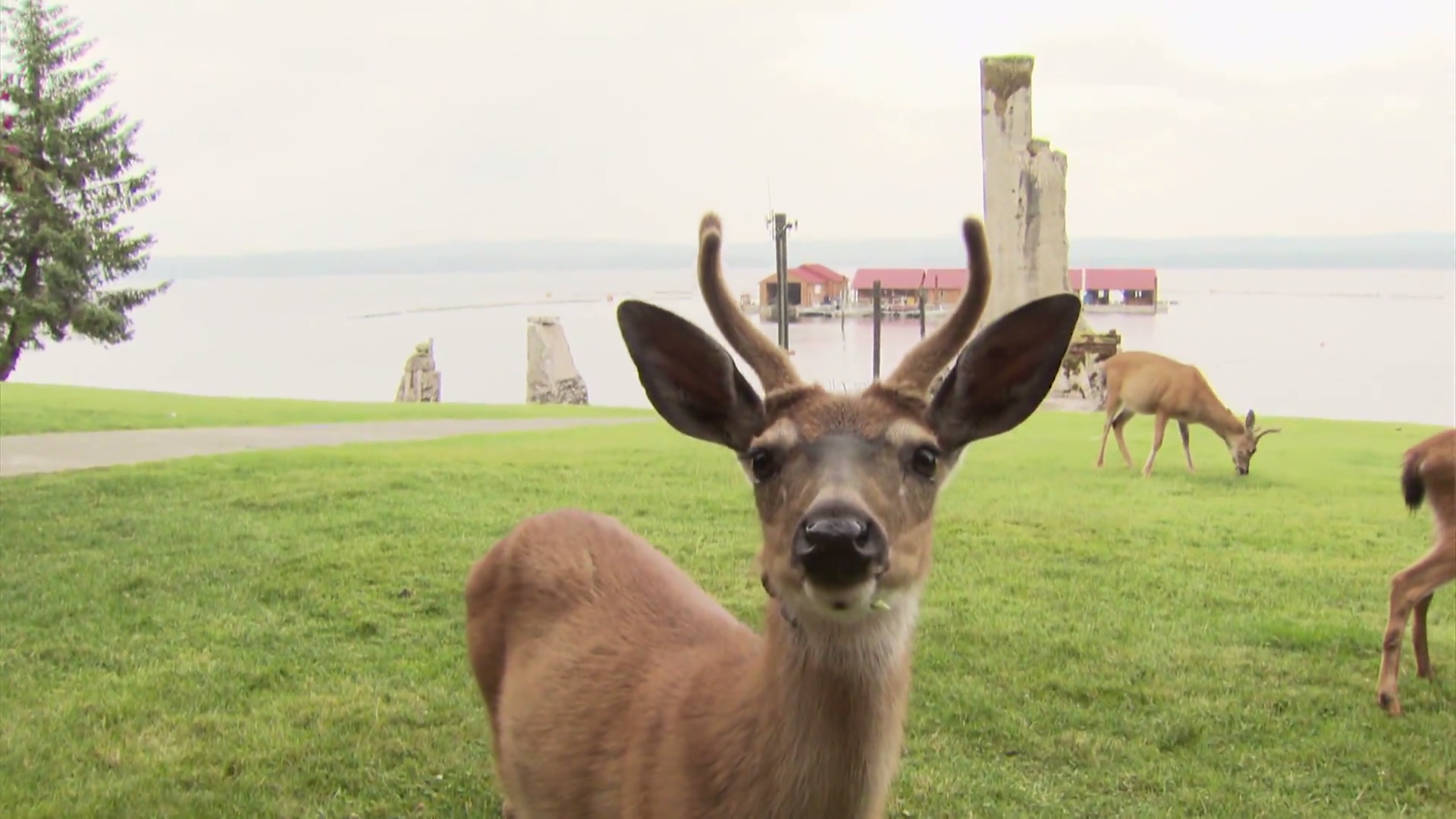 Rewind 11 episode thumbnail