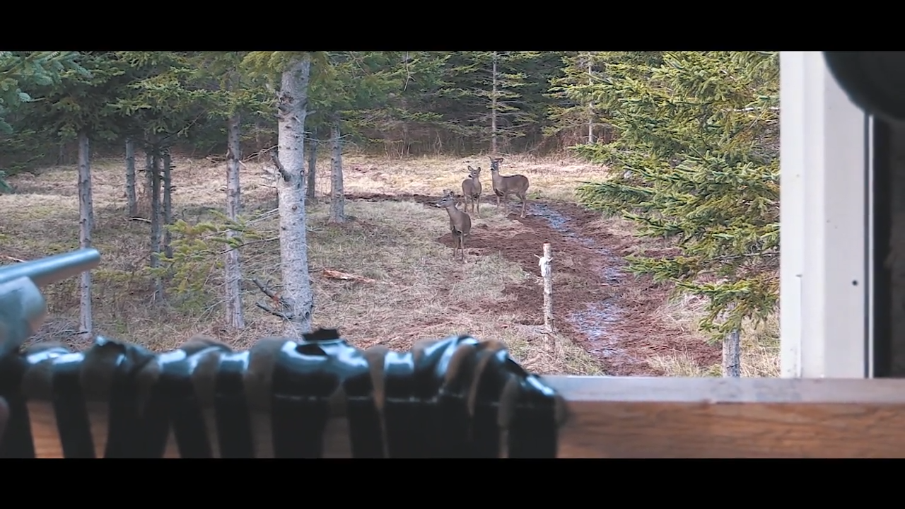 My First Deer episode thumbnail