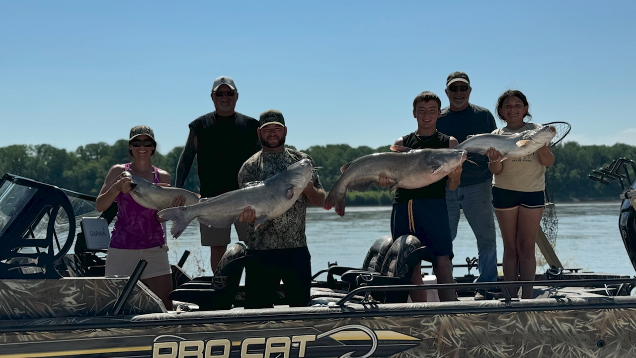 Missouri Cats episode thumbnail