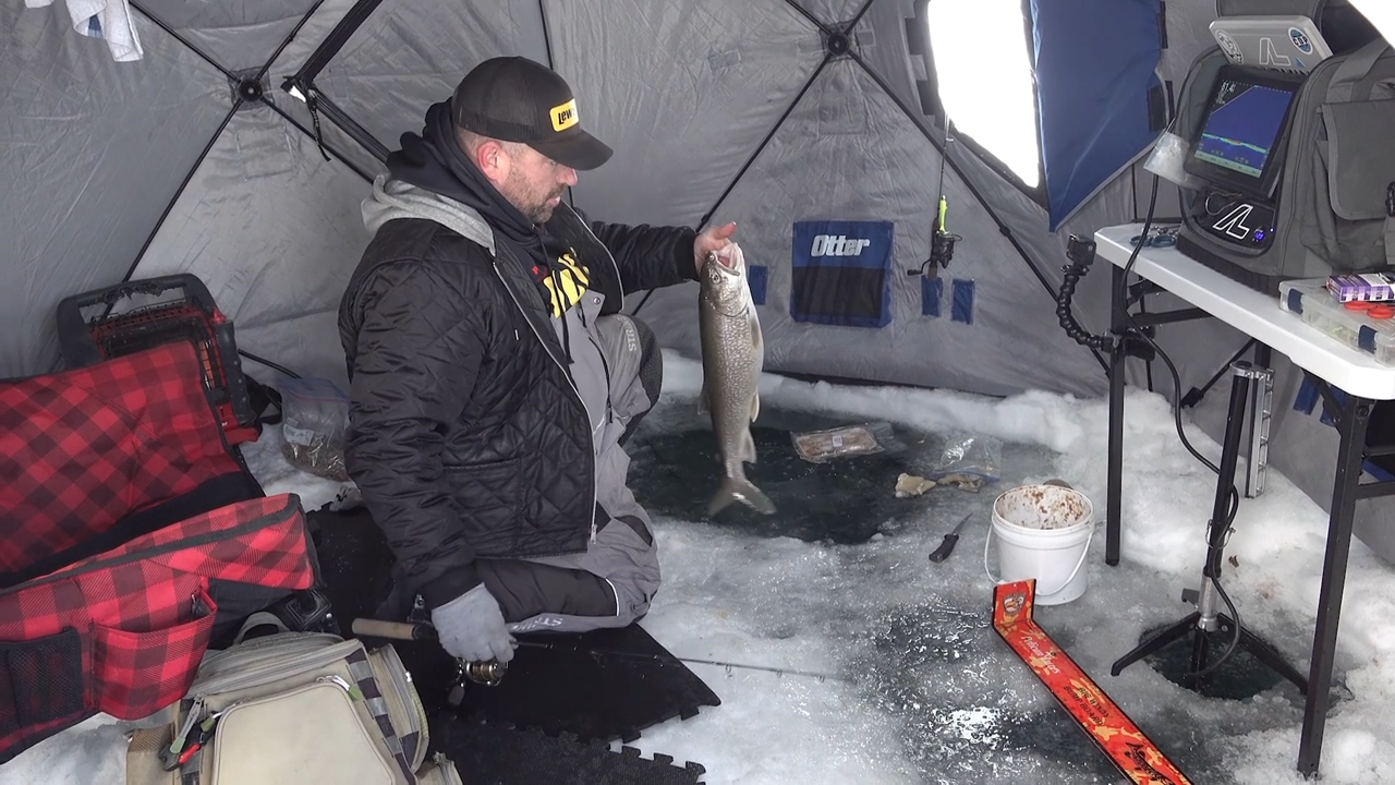 Newbies episode thumbnail