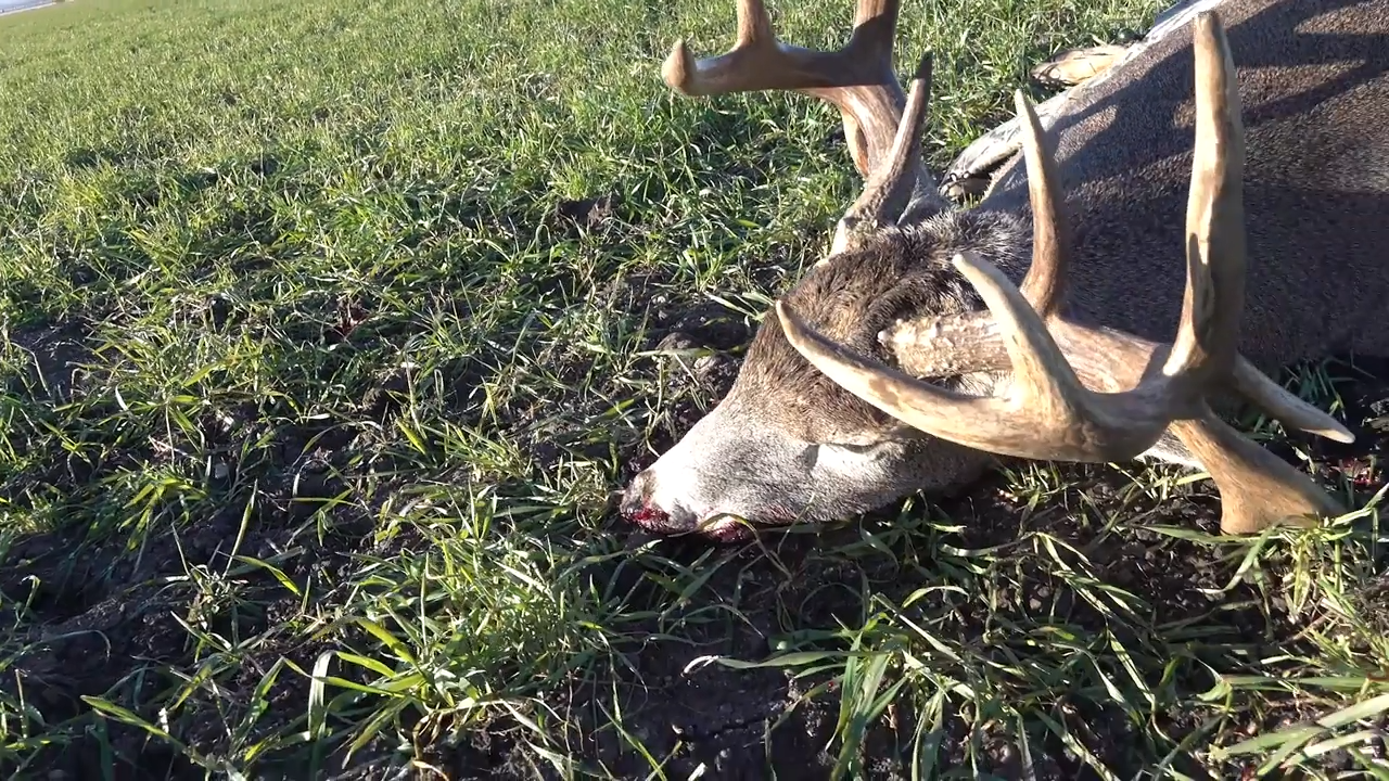 Girls on Fire episode thumbnail