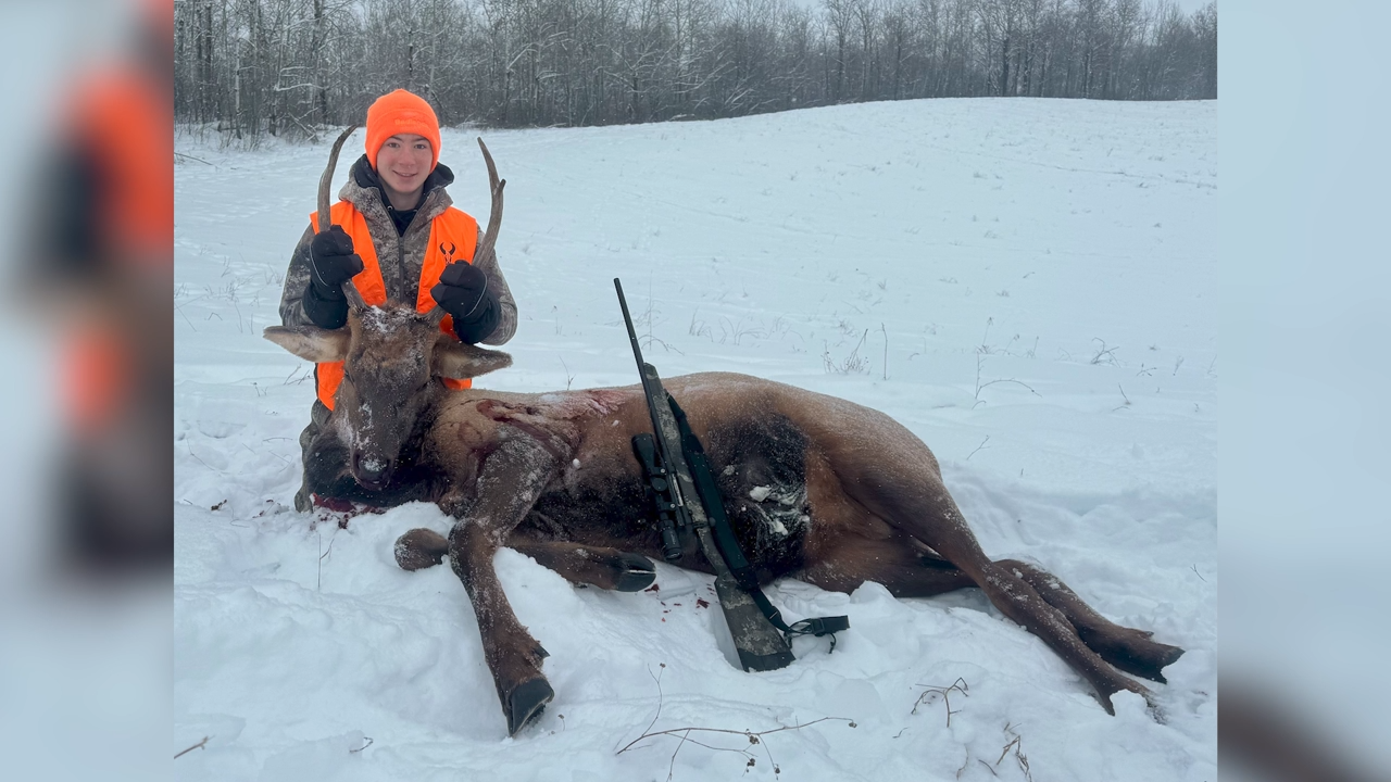 Long Line of Elk Hunters episode thumbnail