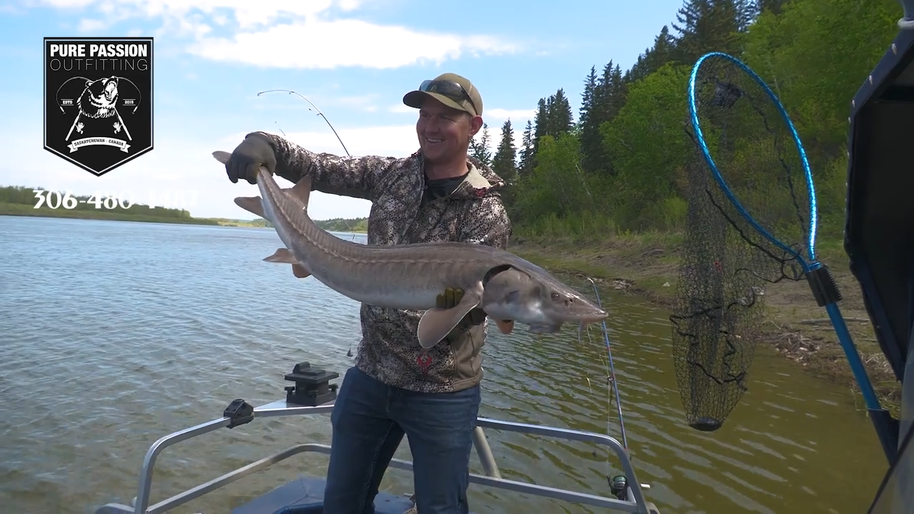 North Sask Fishin': Saskatchewan Sturgeon & Walleye episode thumbnail