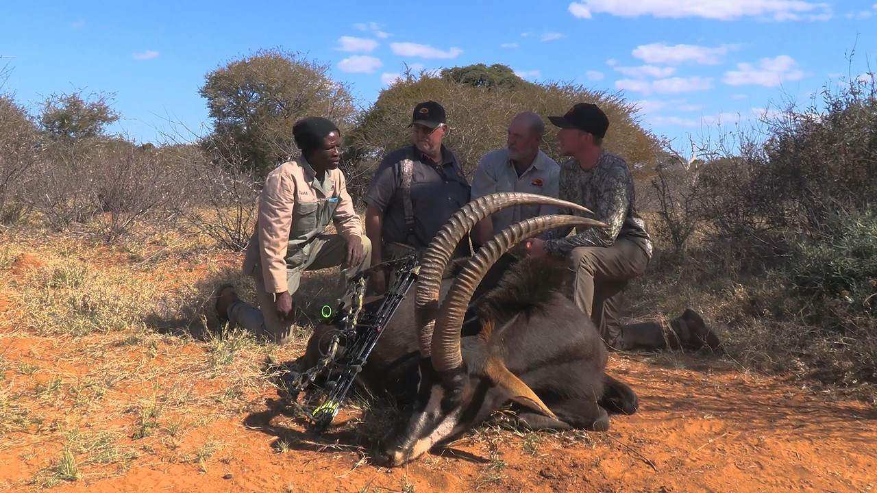 Bushveld Untamed Part 4: Sable episode thumbnail