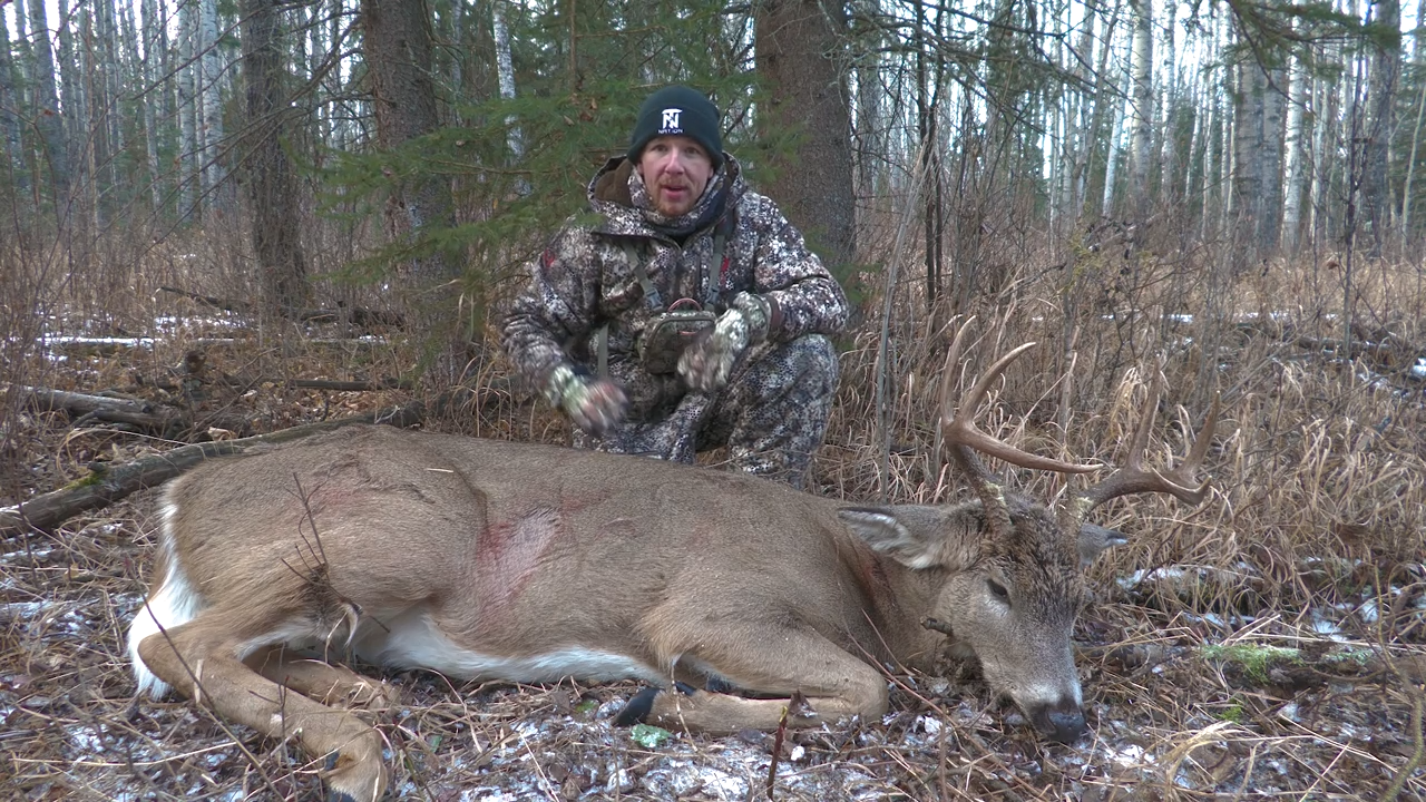 Boreal Bucks: Alberta Whitetails episode thumbnail