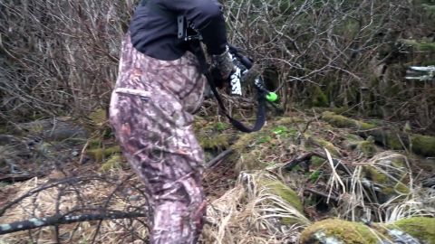 Bear on the Beach episode thumbnail