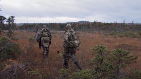 Moose n' Deer episode thumbnail