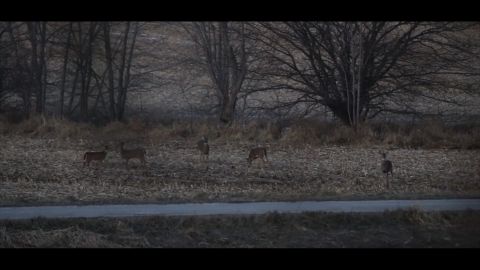 Drop Tine Madness episode thumbnail