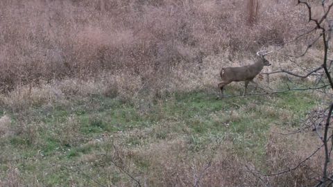 Memories episode thumbnail