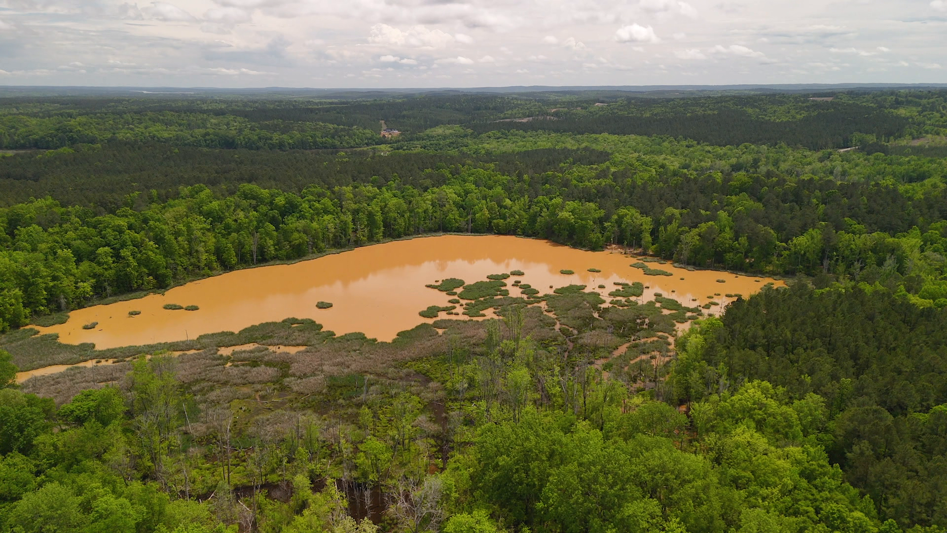 Carolina Adventure episode thumbnail