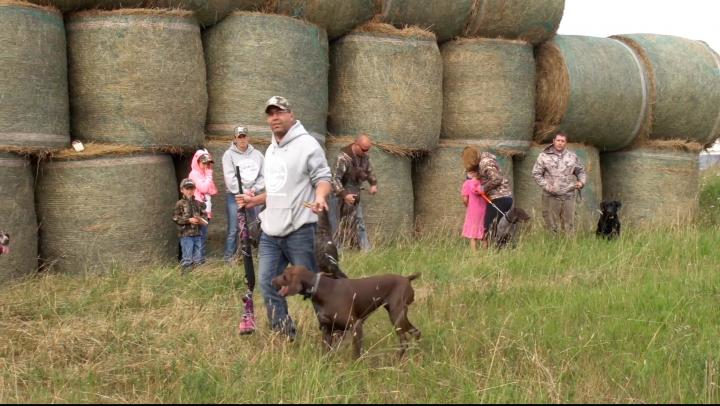 Gun Dog Training episode thumbnail
