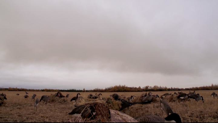 Guys Vs Girls episode thumbnail