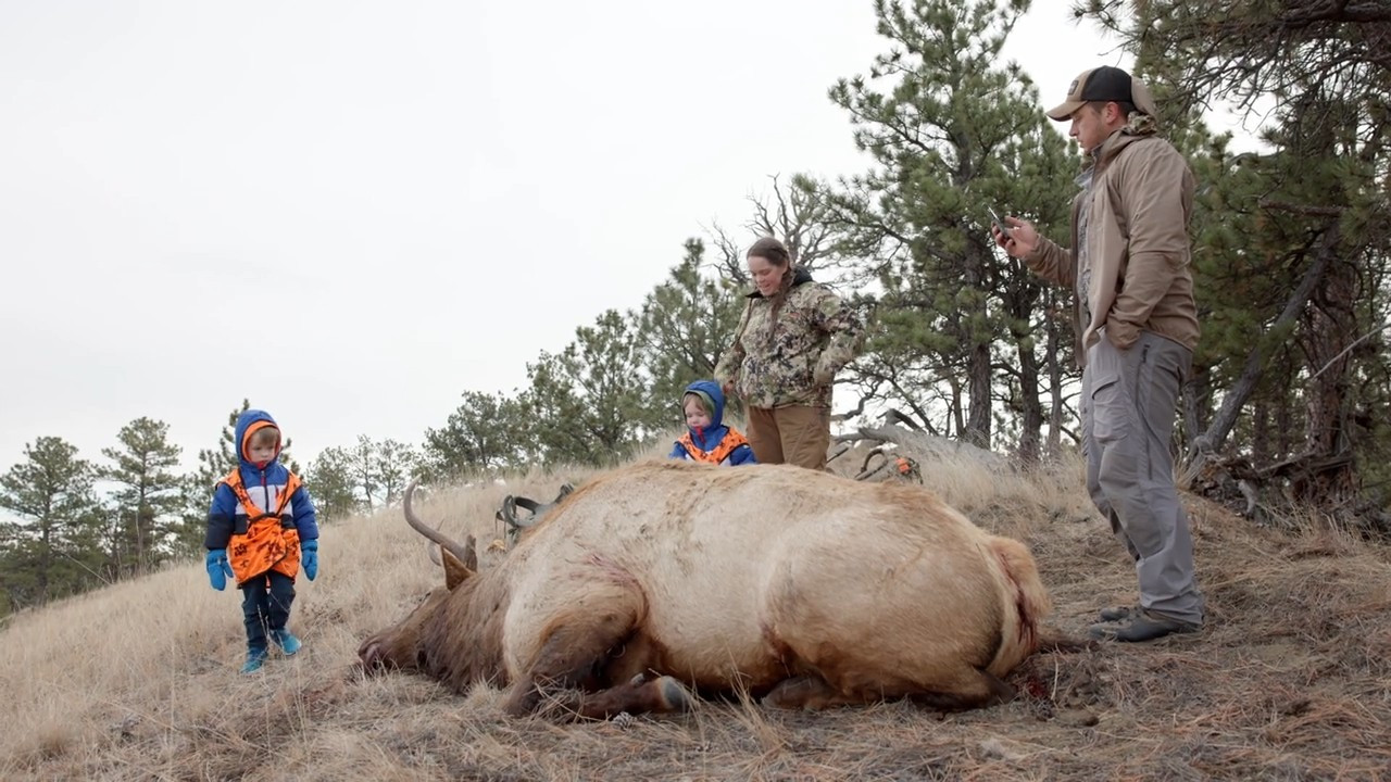 All In the Family: Montana Elk episode thumbnail