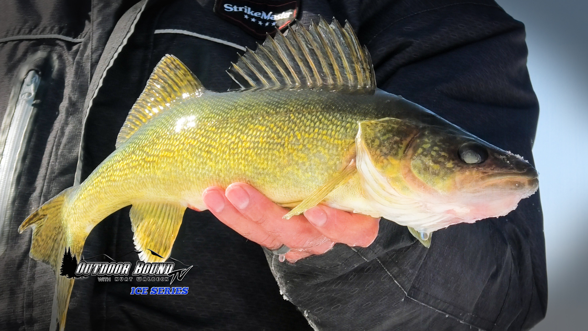 Wekusko Falls Multi-Species episode thumbnail