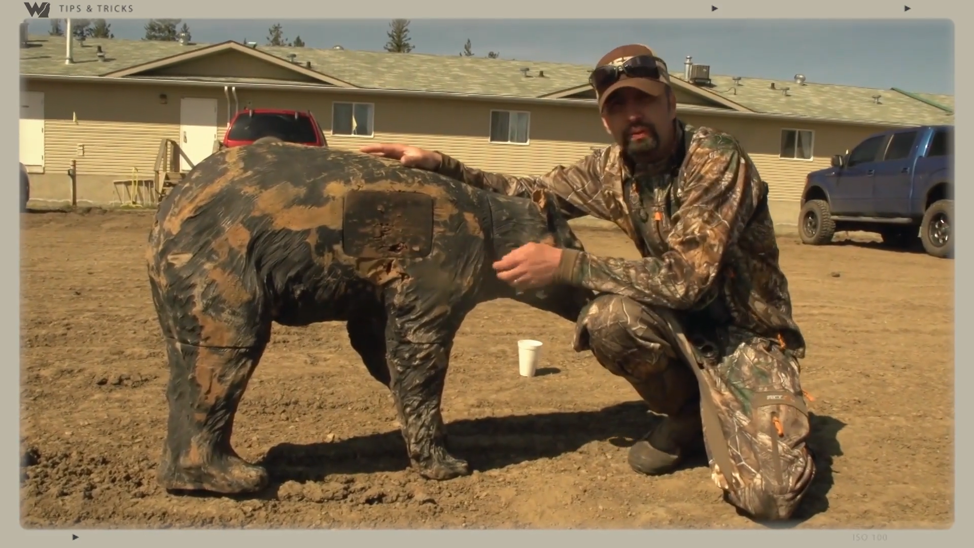 How to Arrow a Bear for a Quick Kill episode thumbnail