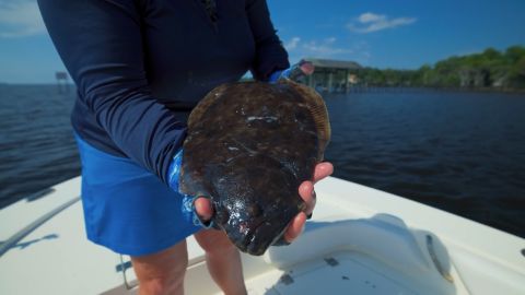 Small Town, Bold Adventures, Clay County Florida episode thumbnail
