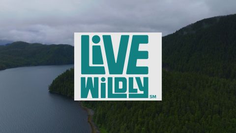 Getting Wild in Sitka, Alaska episode thumbnail