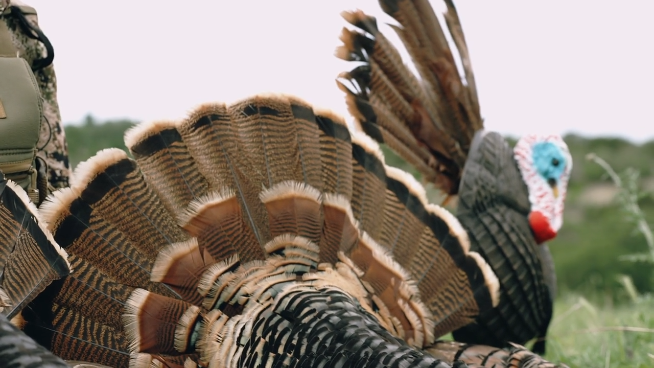 Turkey Tracks - An American Overland Adventure episode thumbnail